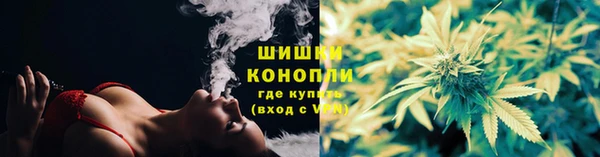 спиды Касимов