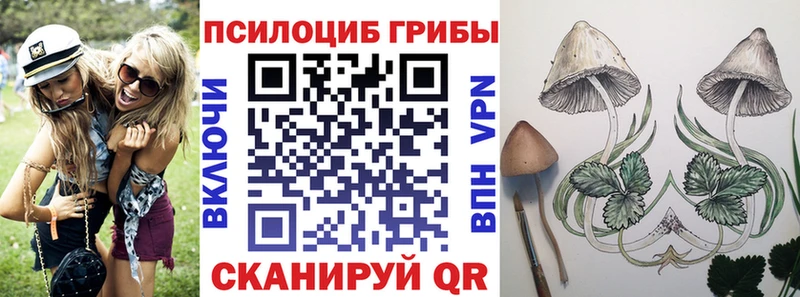 Галлюциногенные грибы ЛСД  Купить закладки  Дигора 
