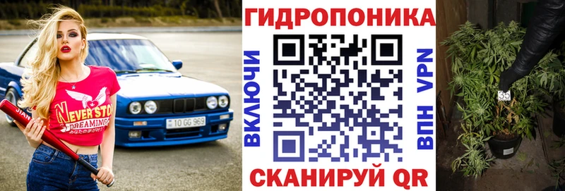 Бошки Шишки планчик Дигора